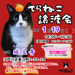 【第8回】てらねこ譲渡会