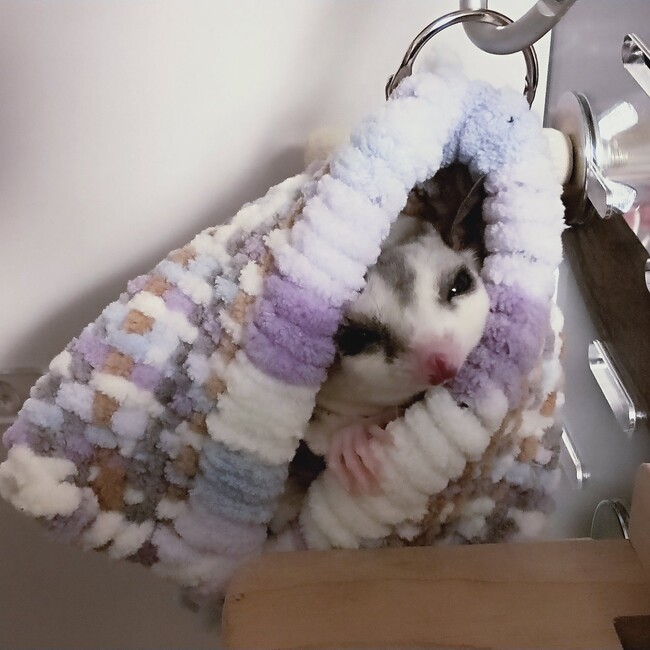 悠那のカバー写真