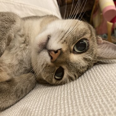 私美人ポーズ