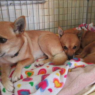 ありがとうございました！