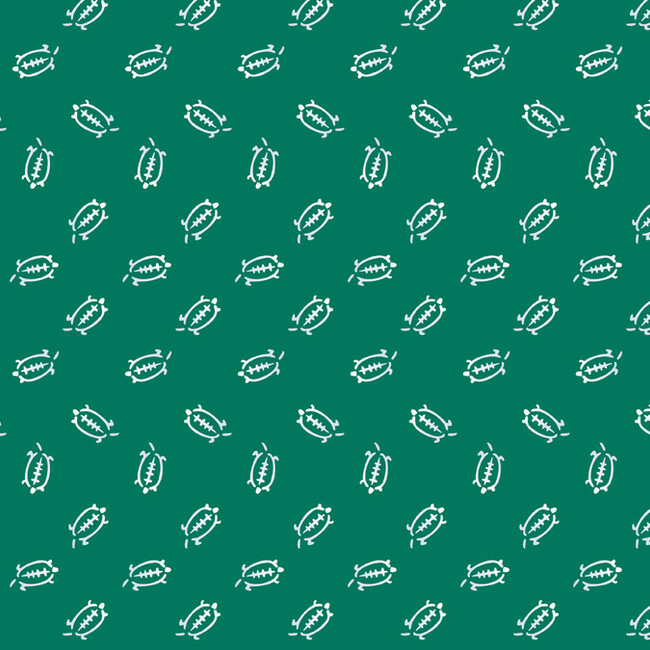 かめずきのカバー写真