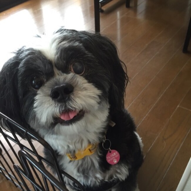 ファブロンのカバー写真