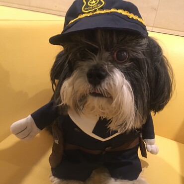 神奈川県警