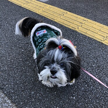 お正月