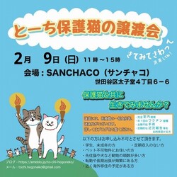とーち保護猫の譲渡会@三軒茶屋