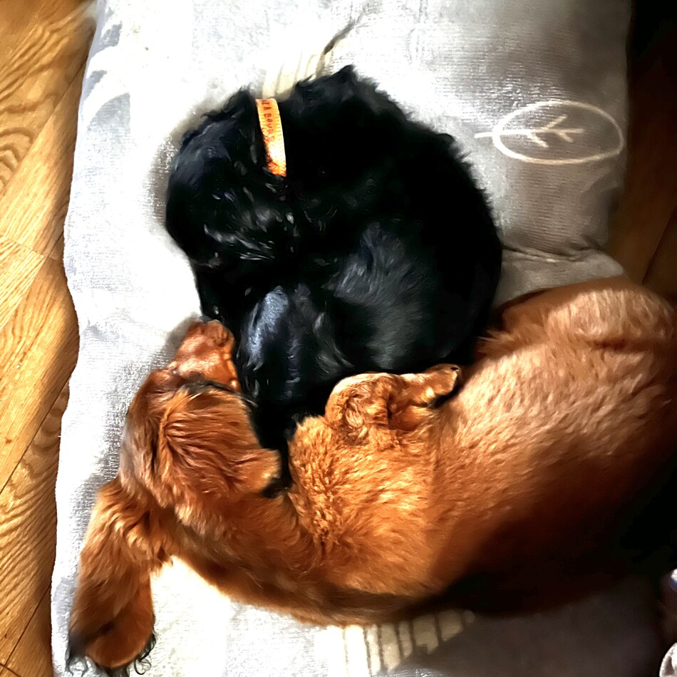 あーちゃんのカバー写真