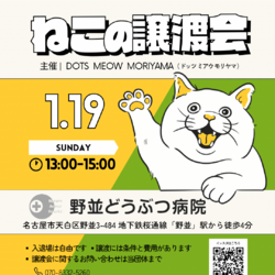 1/19(日)保護猫譲渡会@名古屋市天白区