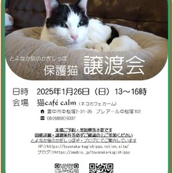 ◎大阪府豊中市・1月26日(日)保護猫譲渡会◎