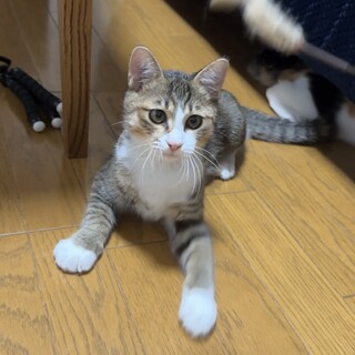 【2/9大崎】夜はいっしょにお布団で★海老蔵