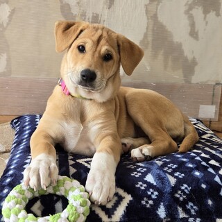 “ウキウキ”  女の子