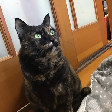 「私、怖くてお母さんを見つめちゃった」ユッチは様子が変だったけど大丈夫！ありがとう