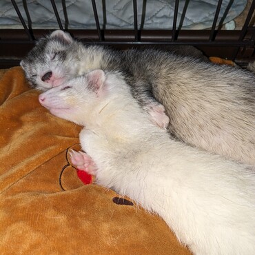 くっつけばあったかいね！