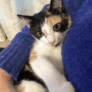 素敵な家族と出会えました♡うさちゃん