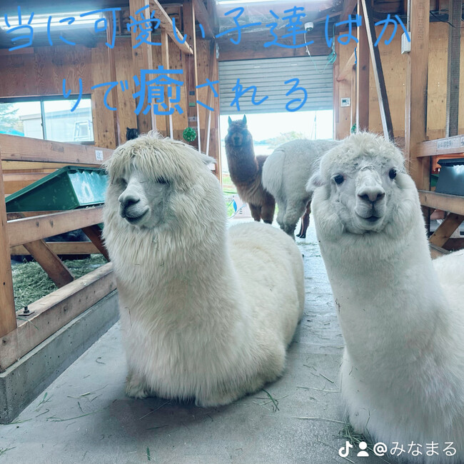 みなまる104のカバー写真