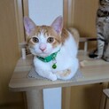 素敵なご家族と出会えました☆おの君