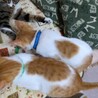 兄妹で素敵な家族が決まりました！ サムネイル3
