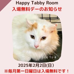予約制無料デー！動物病院の保護猫譲渡会 サムネイル1