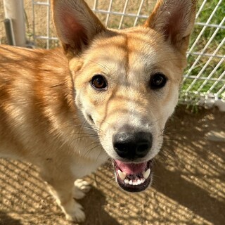 人が大好き♡賢いブランくん