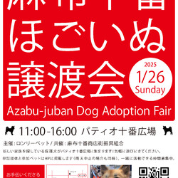 麻布十番ほごいぬ譲渡会