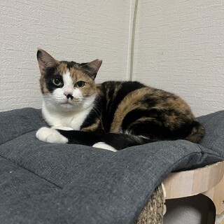 子育て経験のある女の子です！