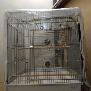 里親のご協力をお願い致します。