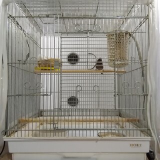 里親のご協力をお願い致します。