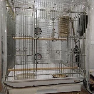 里親のご協力をお願い致します。