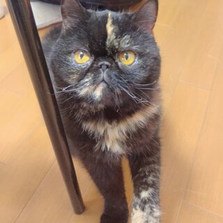 人が好き過ぎ✤✤すりべたエキゾちゃん