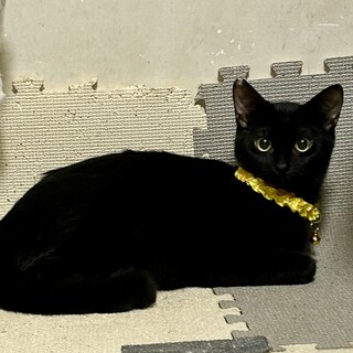 目力が凄い☆シャイなナッキーくん