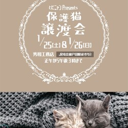とだニャン保護猫譲渡会