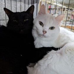 「ロ長らく放置してました、元気にしてます」サムネイル2