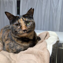 「ロ長らく放置してました、元気にしてます」サムネイル3