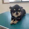 セド君！イケメンな男の子！ サムネイル4