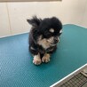 セド君！イケメンな男の子！ サムネイル3