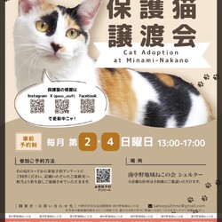 【子猫参加♡保護猫譲渡会】
