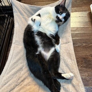 優しい男前ヤンチャ☆