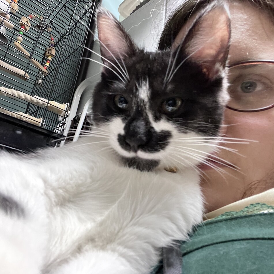 オレオのカバー写真