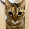 困り顔が可愛すぎる❤︎かえでちゃん サムネイル2