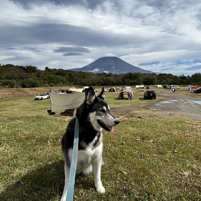 わか&はまのカバー写真