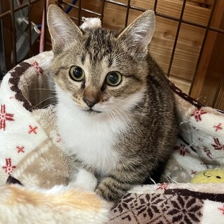 里親決定★奇跡の五郎八君