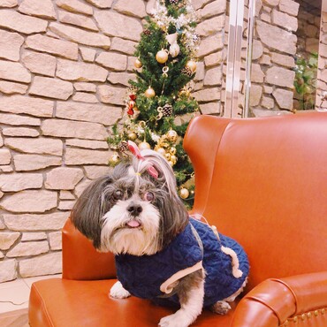 クリスマス