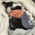 ありがとうございました