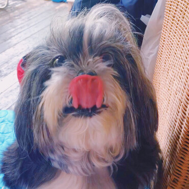 美味い