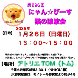 にゃん☆ぴーす猫の譲渡会【都賀･アトリエTOM】
