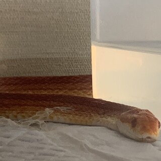 たくさんのお問合せありがとうございました。