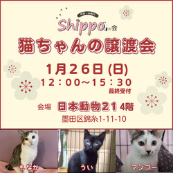 1/26　ひらこま譲渡会(錦糸町 日本動物21)