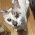 ブルーアイの綺麗な男の子