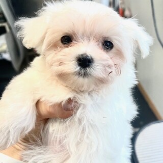 25-M5　マルベビー可愛すぎ♪♪♪