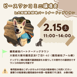 ピースワンコ生駒ミニ譲渡会 in大阪鶴見緑地パートナードッグタウン