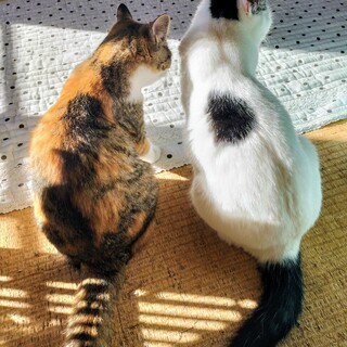 必ず親子で幸せに♡のりこ&たまこ親子